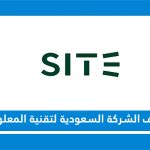 الشركة السعودية لتقنية المعلومات